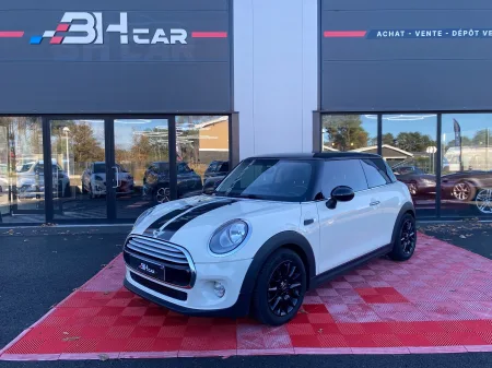 Mini Mini 2014